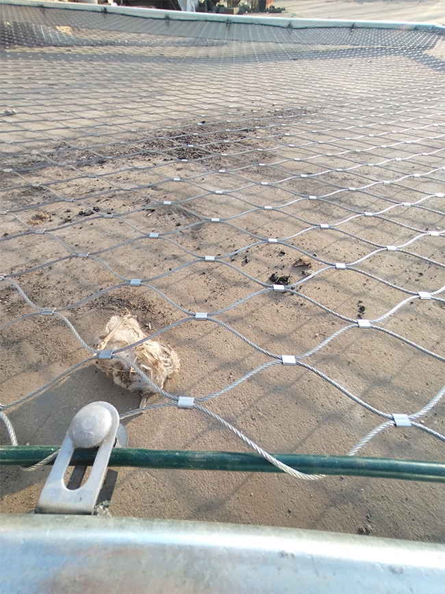 304stainless steel mesh011.jpg